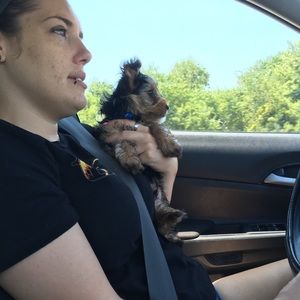 Meet your Posher, Ashley